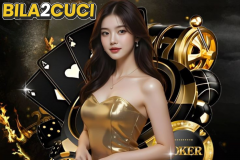 Bila2Cuci Company Overview – Safe, Lice - {dede:global.cfg_webname/}